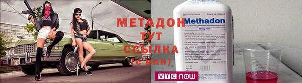 хмурый Аркадак