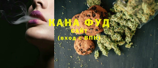 хмурый Аркадак