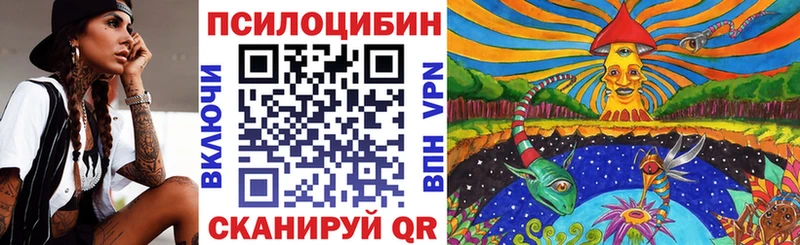 Галлюциногенные грибы мицелий  Камень-на-Оби 